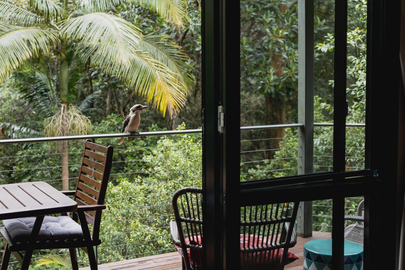 Kondalilla Eco Resort Montville Exterior foto