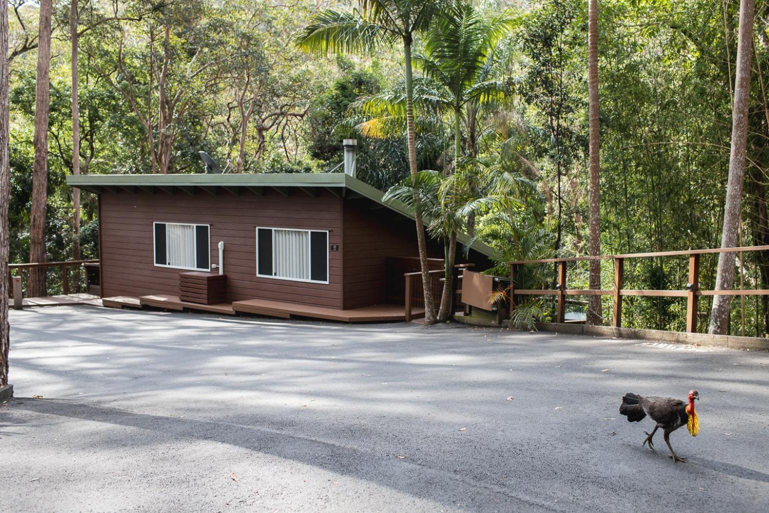 Kondalilla Eco Resort Montville Exterior foto