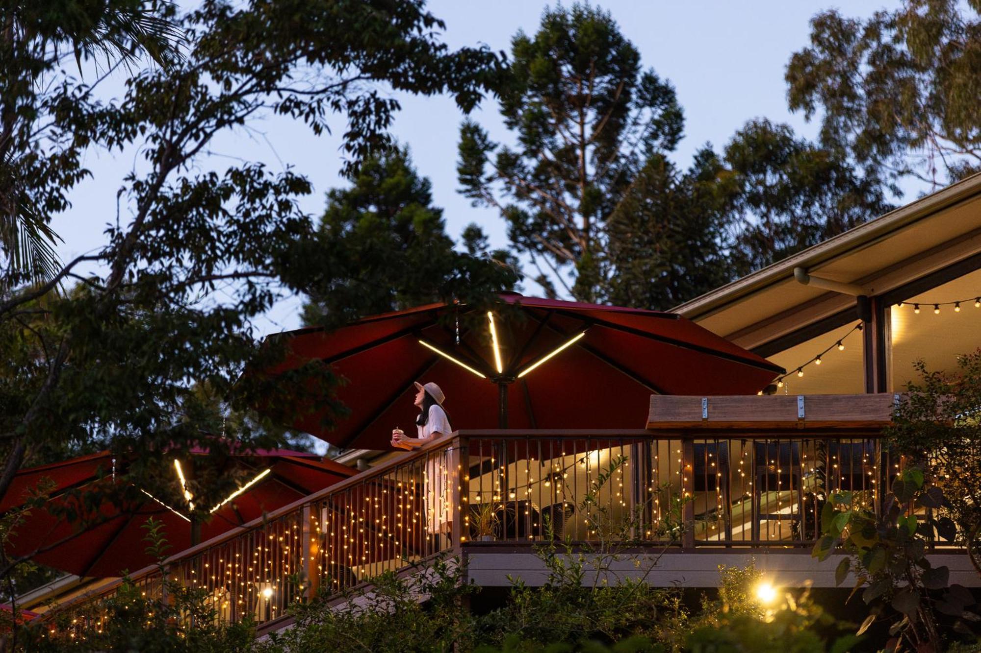 Kondalilla Eco Resort Montville Exterior foto